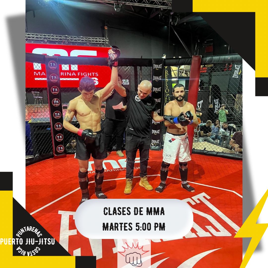 Clase de Artes Marciales Mixtas